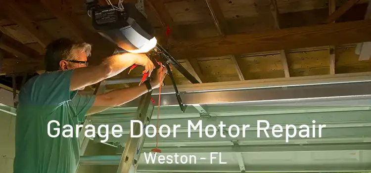  Garage Door Motor Repair Weston - FL