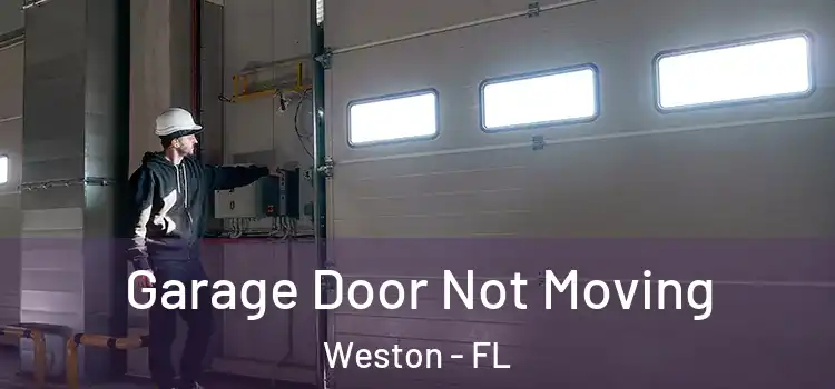  Garage Door Not Moving Weston - FL