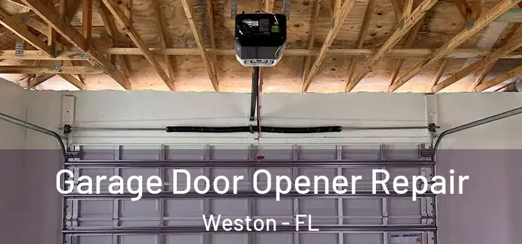  Garage Door Opener Repair Weston - FL