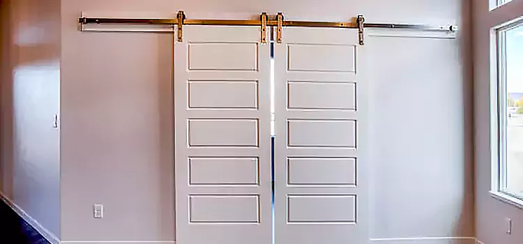 Glass Barn Door with Installation Hardware Kit Weston
