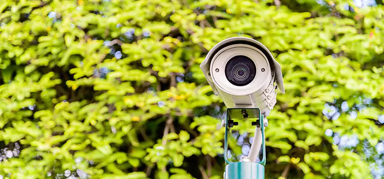 Advanced Surveillance Solutions for Every Need in Weston