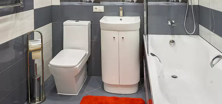 Hansgrohe Shaving Mirror Weston