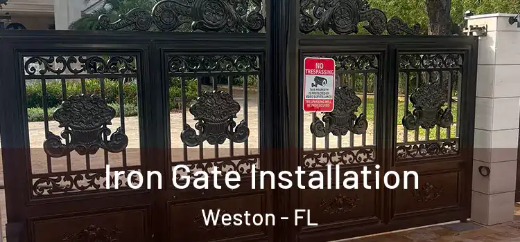  Iron Gate Installation Weston - FL